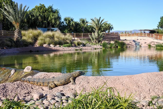 agadir travel guide -excursion